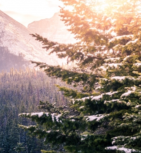 临沂粉象生活佣金