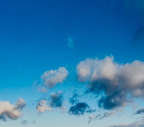 粉象生活怎么赚钱的