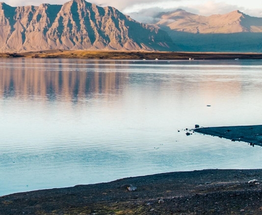 粉象生活拉人教程