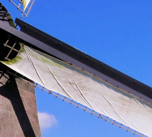 孝感粉象生活推广