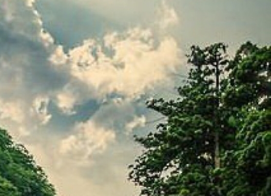 粉象生活怎么分享好友