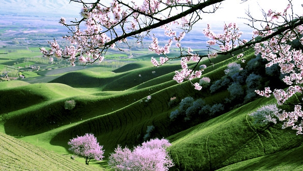 粉象生活开通VIP有什么好处