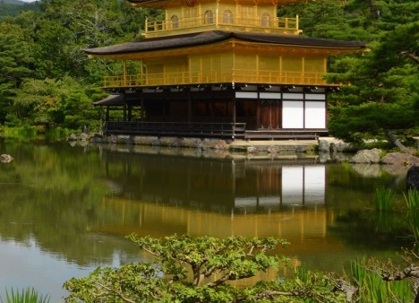粉象生活小建团队贴吧