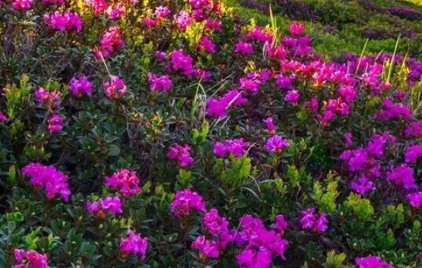 粉象手机号邀请码可以解绑