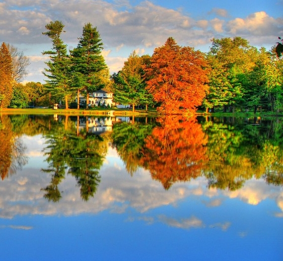 关于粉象生活app