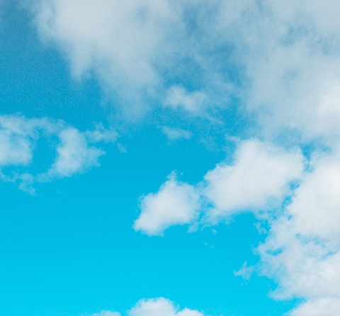 巢湖粉象生活推广