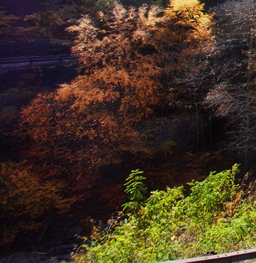 粉象生活赚钱教程