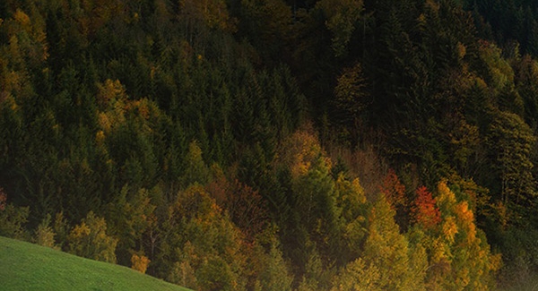 粉象生活下载app