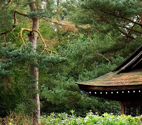 肇庆粉象生活加盟代理