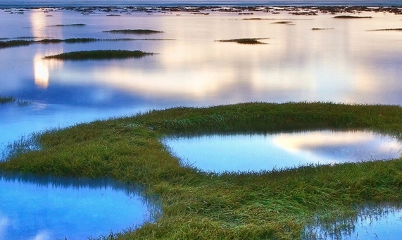 粉象生活推广教程