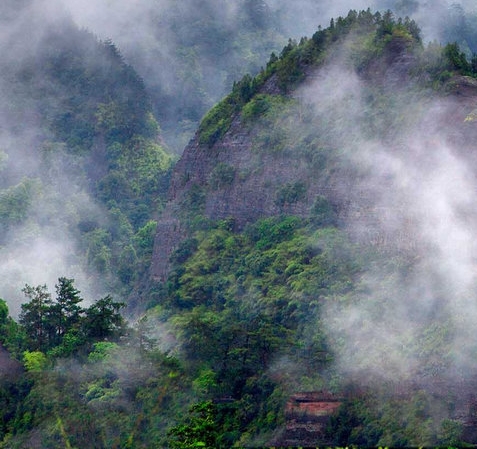 粉象创始人李红星