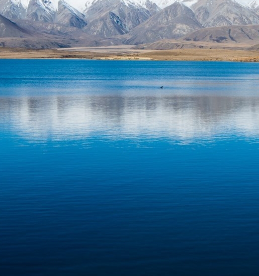 湛江粉象生活积分