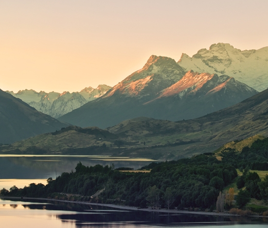 舟山正规粉象生活品牌好吗