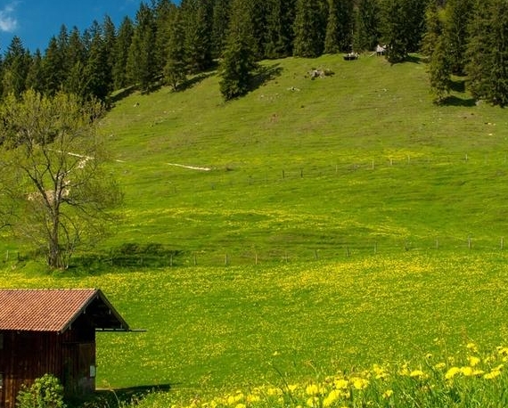 粉象生活是东西好不好