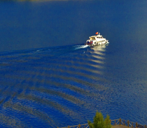 粉象生活返现金