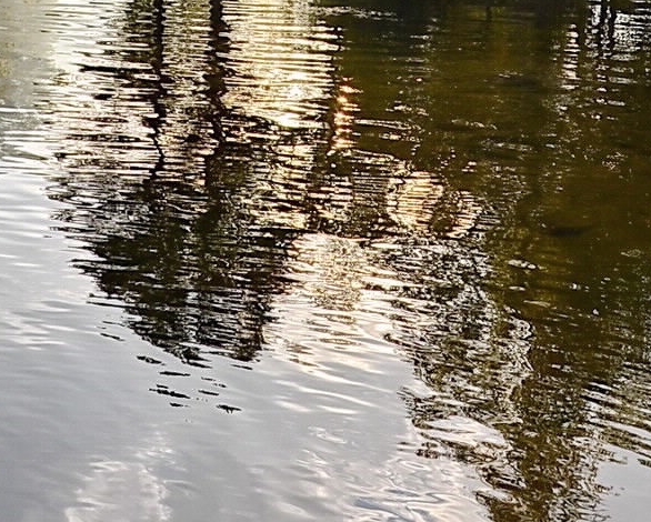 粉象生活赚钱教程