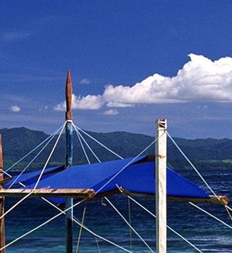 哈尔滨粉象生活软件