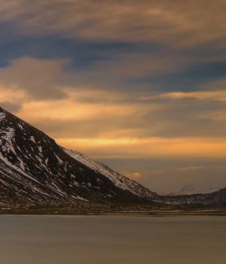 粉象生活下载app