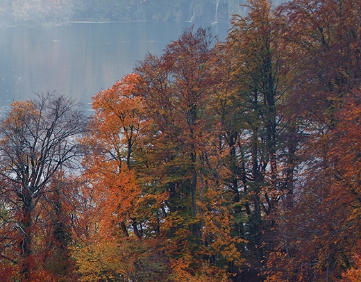 有没有跟粉象生活类似的软件