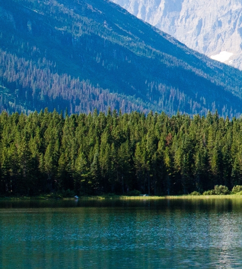 王牌套餐减肥怎么样