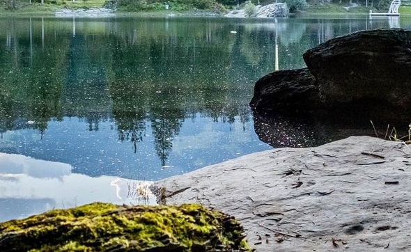 粉象生活等级和佣金