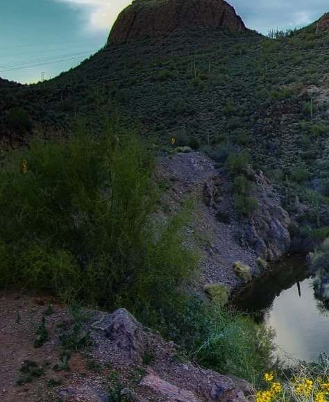 粉象生活邀请码