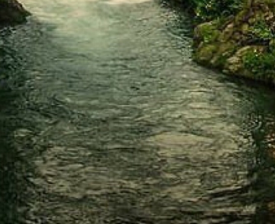 菏泽粉象生活软件