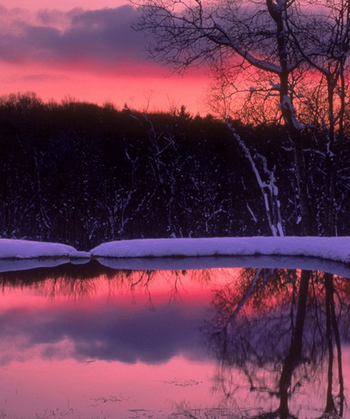 粉象生活下载app