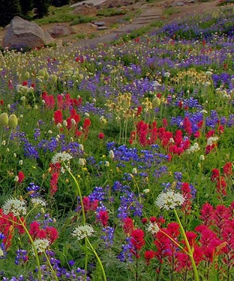 青岛粉象生活图片