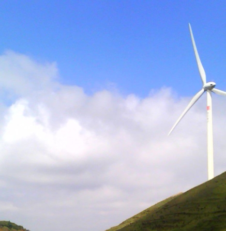 粉象生活软件推荐