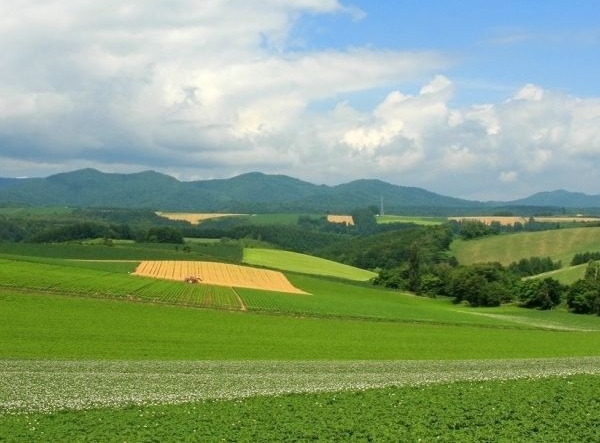 在粉象生活怎么样买东西