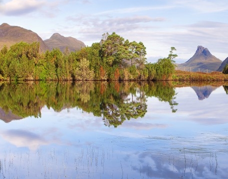 南京粉象生活vip