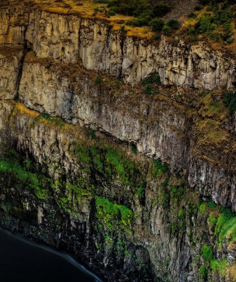 粉象生活推广图片