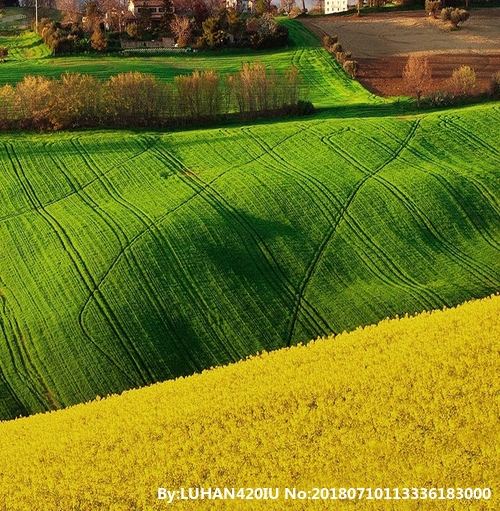 韶关粉象生活赚钱