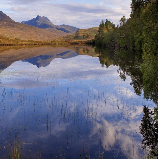 粉象生活送外卖