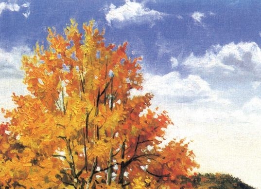 粉象生活收费模式