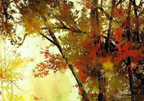 怎样推广粉象生活