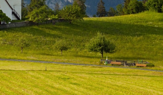粉象生活是干嘛的
