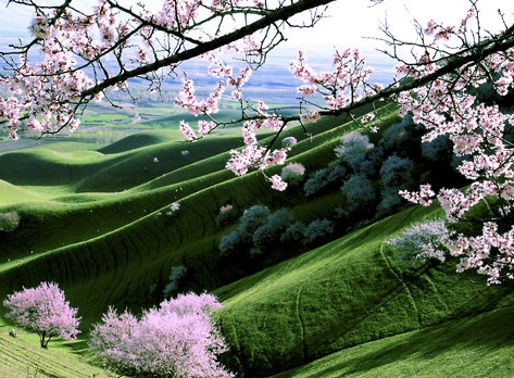 粉象生活怎么赚钱的