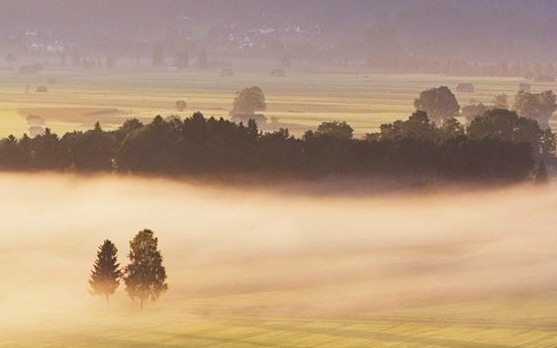 粉象生活抽奖记录