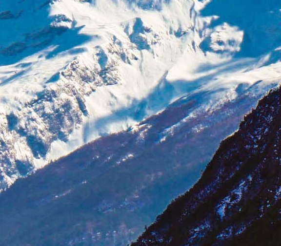 粉象这个平台合法吗