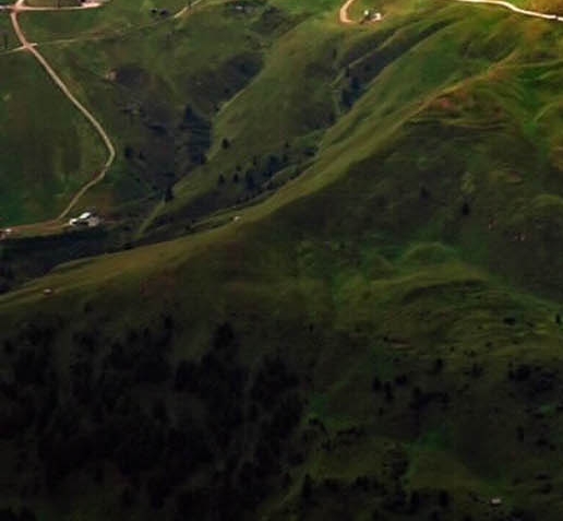 粉象生活数据采集