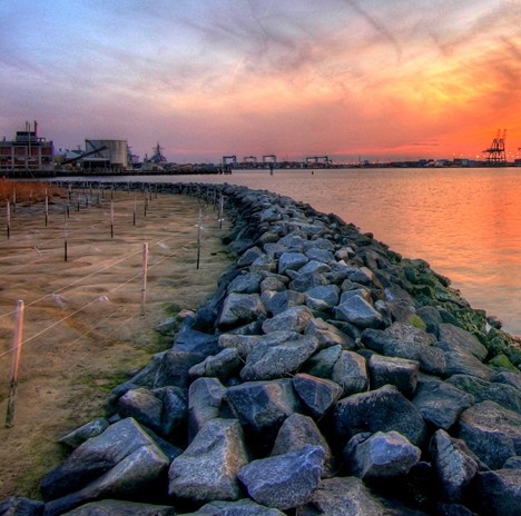 粉象生活升级太难