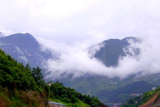 粉象生活淘宝怎么授权不了