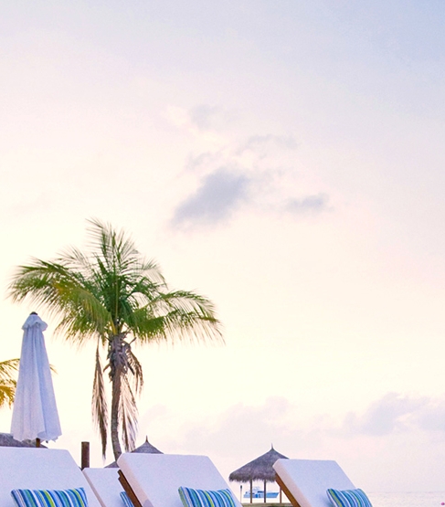 粉象生活100积分多少钱