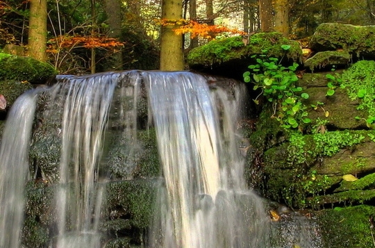 粉象生活赚佣金是真的吗