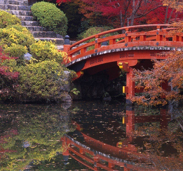 广东粉象生活能拿几代佣金