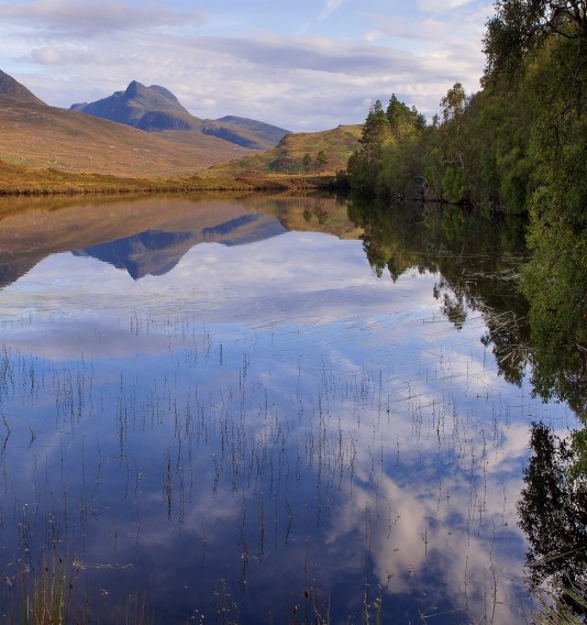 粉象生活优惠劵