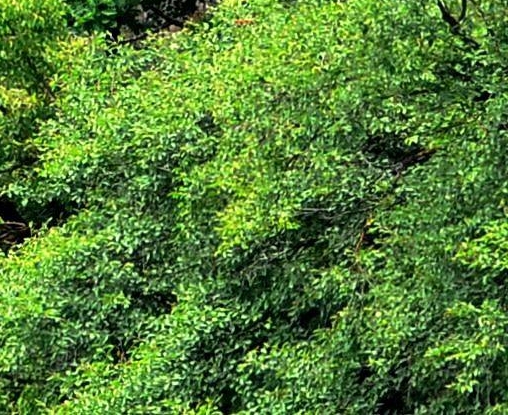 粉象生活怎么赚钱