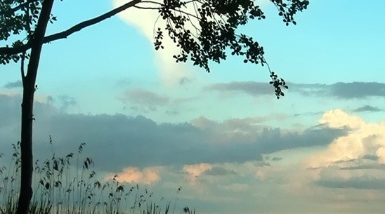 粉象生活享受几级代理佣金